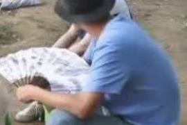 扎囊贷款清欠服务